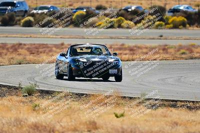 media/Nov-16-2024-Extreme Speed (Sat) [[6587d07cc4]]/Gold Group/Session 2 (Turns 3 and 5)/